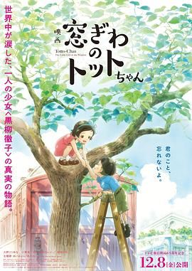 河北凌波赛鸽公棚春棚